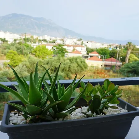 Allseasonsapartment Apartment *